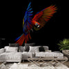Papier peint perroquet tropical : lignes abstraites bleues et rouges, papier peint amovible