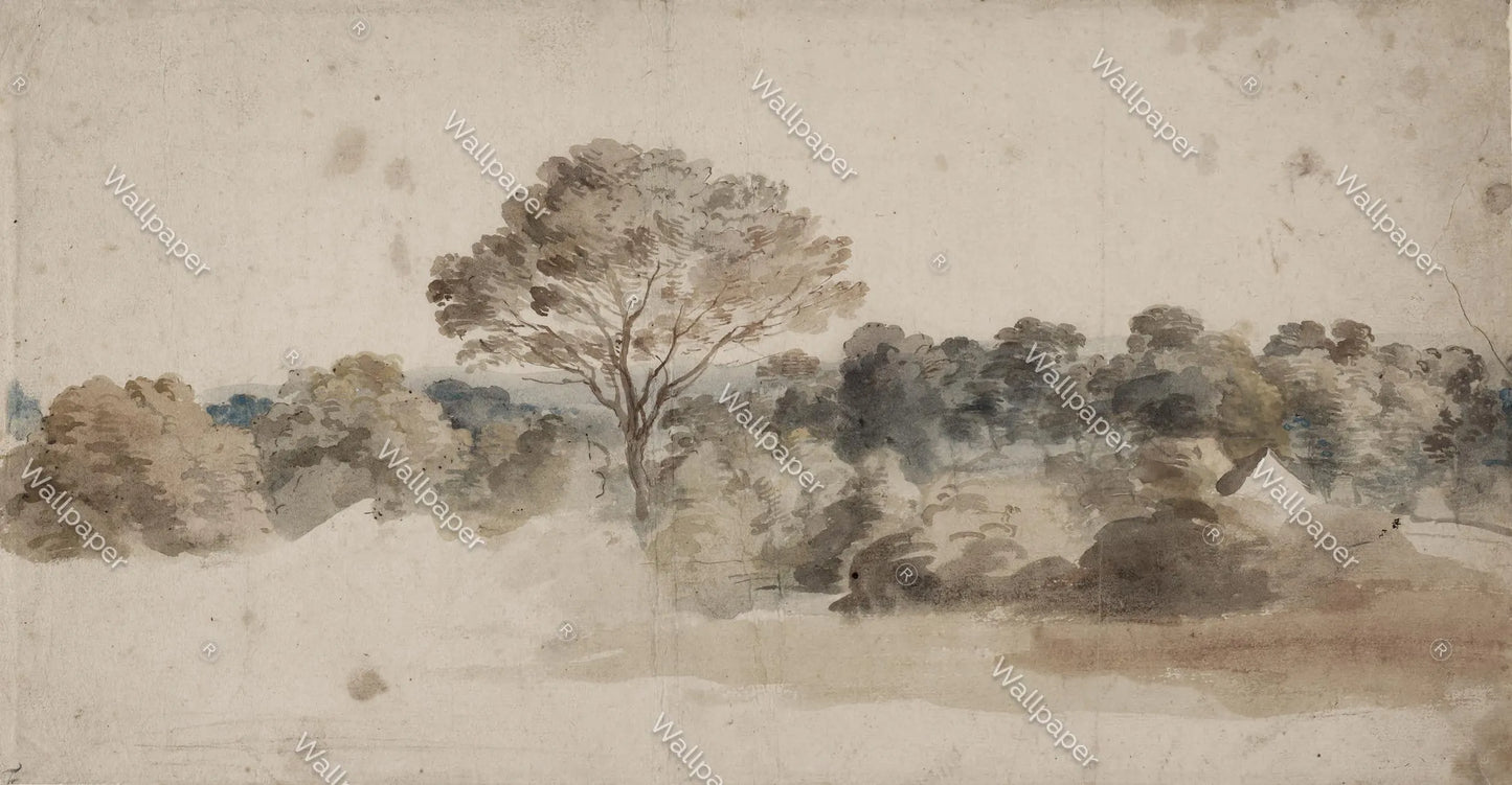 Vintage Forest Landscape Peel and Stick Mural Wallpaper