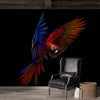 Papier peint perroquet tropical : lignes abstraites bleues et rouges, papier peint amovible